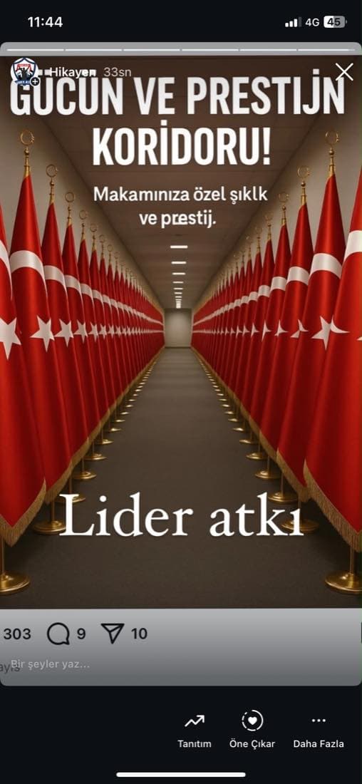 Bayrak örneği